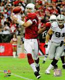 Derek Anderson 2010 Action