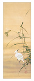 Buy November at AllPosters.com