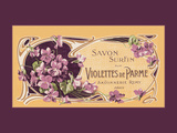 Violettes de Parme