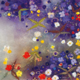 Gardens in the Mist X