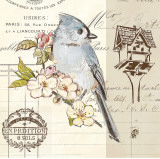 Buy Bird Sketch IV at AllPosters.com