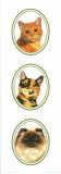 Decorative Panels Cats I