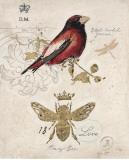 Buy Ruby Collection V at AllPosters.com