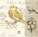 Bird Sketch II