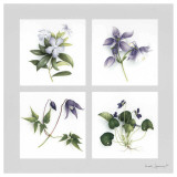 Les Fleurs Violettes