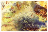 Rock Pools IV