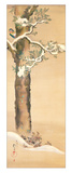 Buy December at AllPosters.com