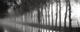 Tree Lined Canal