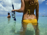 Buy Honeymooning Couple Snorkeling Off of Lizard Island at AllPosters.com