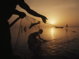 Buy Fishermen Pull Up their Nets at Sunrise at AllPosters.com