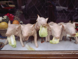 A Restaurant Displays its Specialty, Roast Suckling Pig