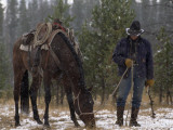 An Outfitter Lets His Horse Graze During a Snow Storm