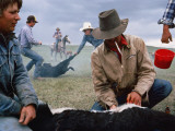 Buy Cowboys on a Cattle Ranch at AllPosters.com