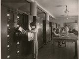 Buy The Illustrations Library at the National Geographic Society at AllPosters.com