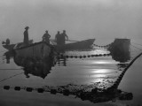 Buy A Sardine Fleet Working Nets Off Eastport, Maine at AllPosters.com