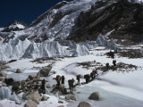 Buy Mountain Climbers on the 1963 Ngs Expedition to Ascend Mount Everest at AllPosters.com