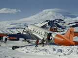 Buy Men Leading Sled Dogs to Waiting Transport Plane at AllPosters.com