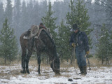 Buy Snow Falls on a Cowboy and His Horse at AllPosters.com