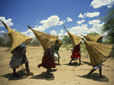Mbukushu Women Return Home with Woven Baskets They Use to Catch Fish