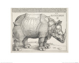 Buy The Rhinoceros at AllPosters.com