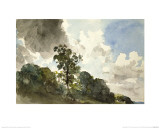 Buy A Study of Clouds and Trees at AllPosters.com