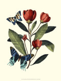 Midsummer Floral II