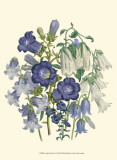 Loudon Florals I