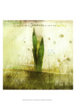 Buy Blossoming Inspiration V at AllPosters.com