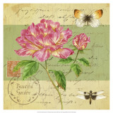 Buy Beautiful Garden II at AllPosters.com