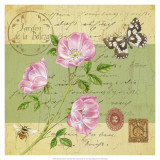 Buy Beautiful Garden III at AllPosters.com