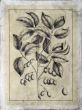 Buy Embellished Antique Foliage V at AllPosters.com