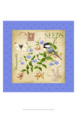 Buy Blooming Garden II at AllPosters.com