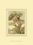 The Hazelnut Fairy