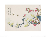 Buy Magnolia, Prunus, Bees at AllPosters.com
