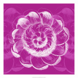 Buy Chromatic Rosette I at AllPosters.com