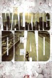 Buy The Walking Dead at AllPosters.com