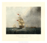 Buy Homeward Bound at AllPosters.com