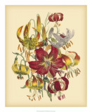 Buy Garden Bouquet III at AllPosters.com