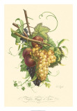 Buy Plentiful Fruits II at AllPosters.com
