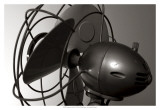 Vintage Fan Study II