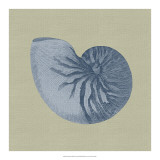 Chambray Shells II