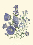 Loudon Florals II
