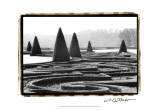 Palace of Versailles Garden I