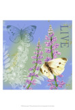 Buy Butterflies Inspire I at AllPosters.com