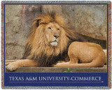 Texas A&M University, Mascot