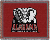 University of Alabama, Logo