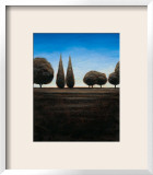 Buy Earth and Aqua I at AllPosters.com