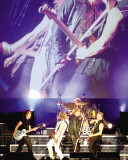 Def Leppard Stretched Canvas Print