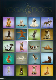Buy Yoga Dogs at AllPosters.com