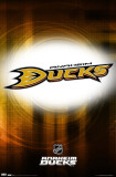 Ducks Logo 2010